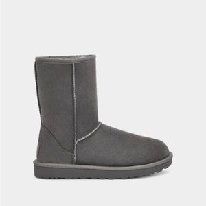 Classic Gray Short Ugg Boots